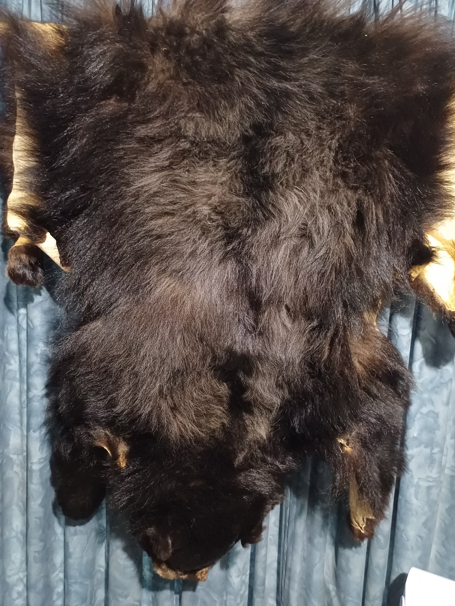 Black bear hide inc shipping