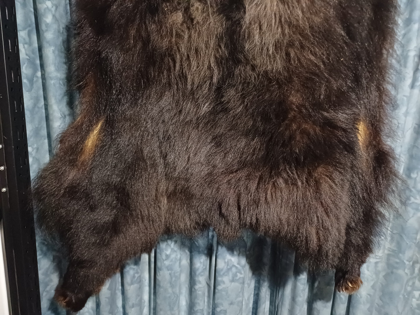 Black bear hide inc shipping