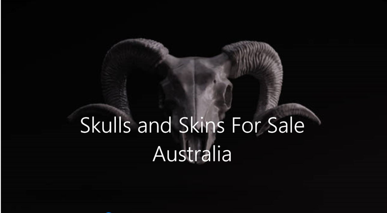 SkullsandSkinsForSale