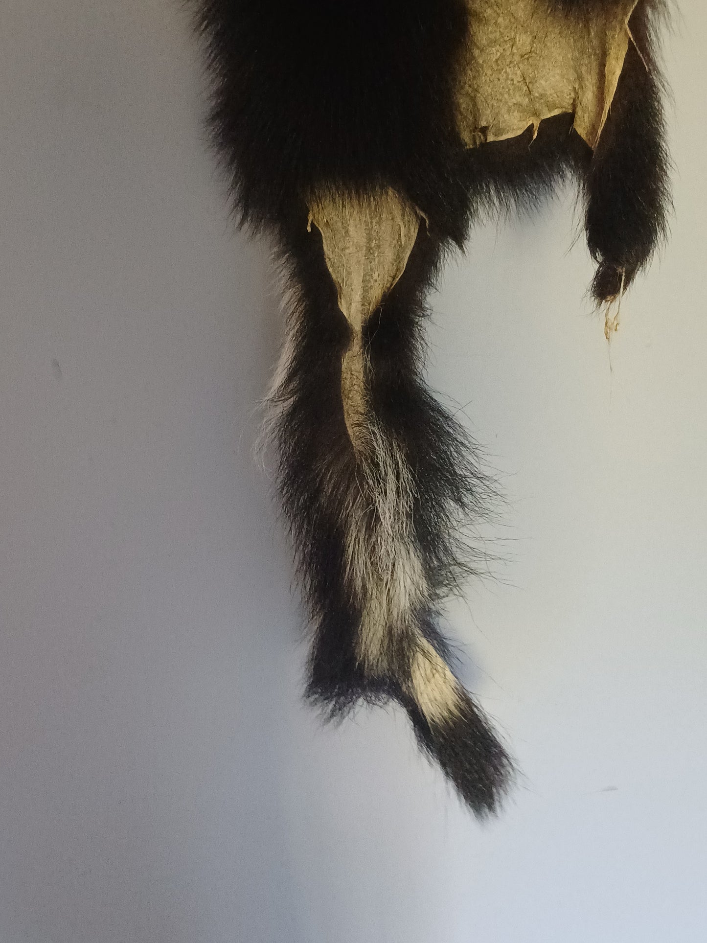 Skunk wall hanger