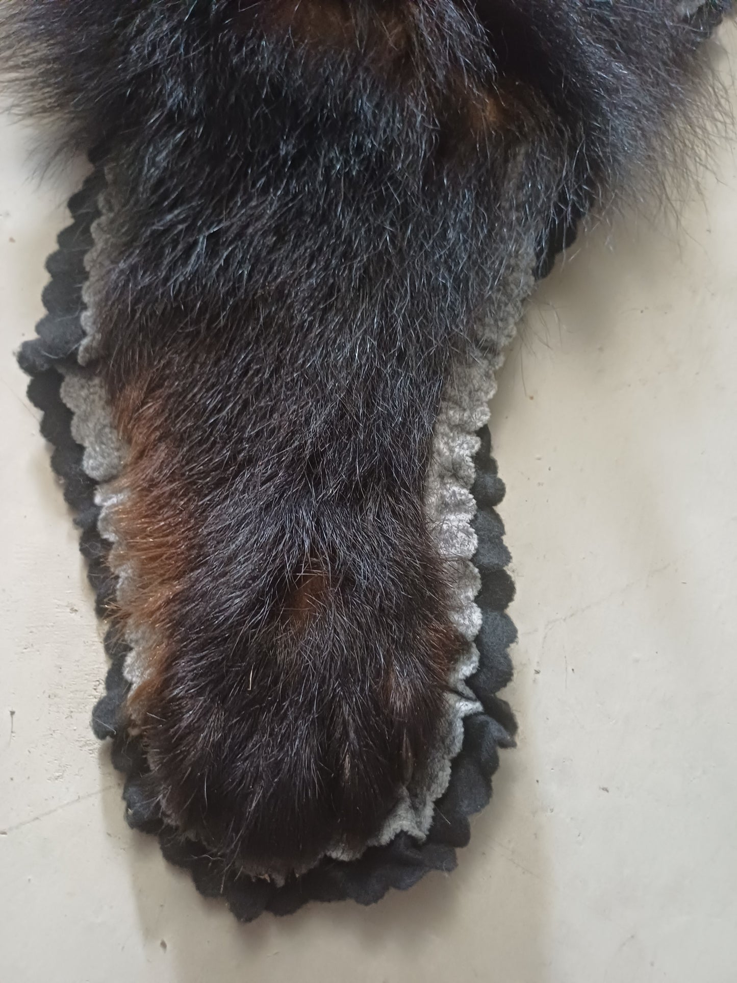 Black Bear Rug
