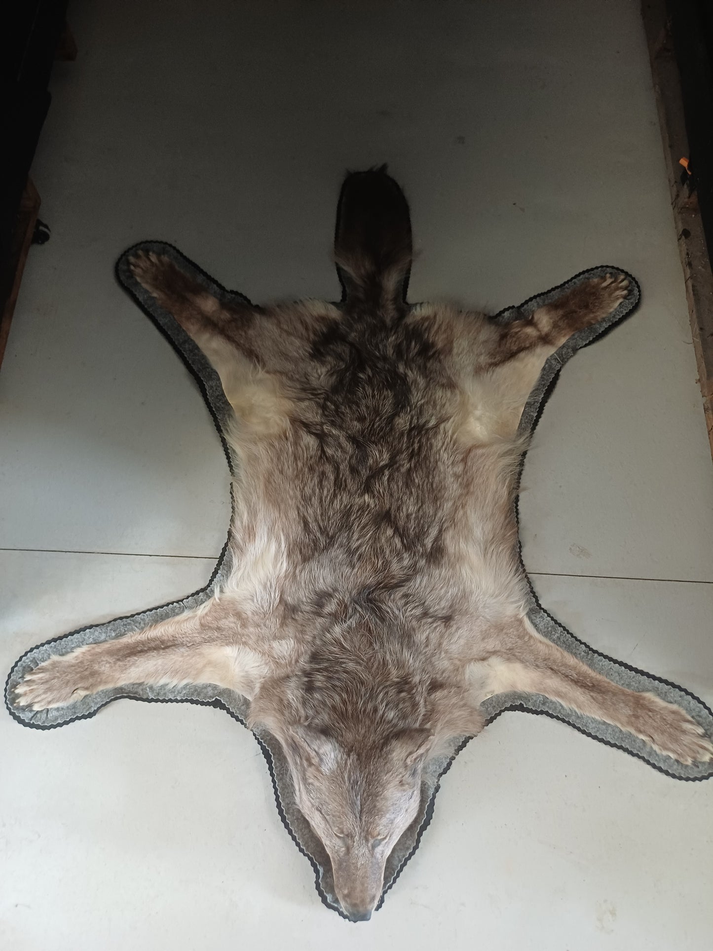 Wolf rug (CITES)