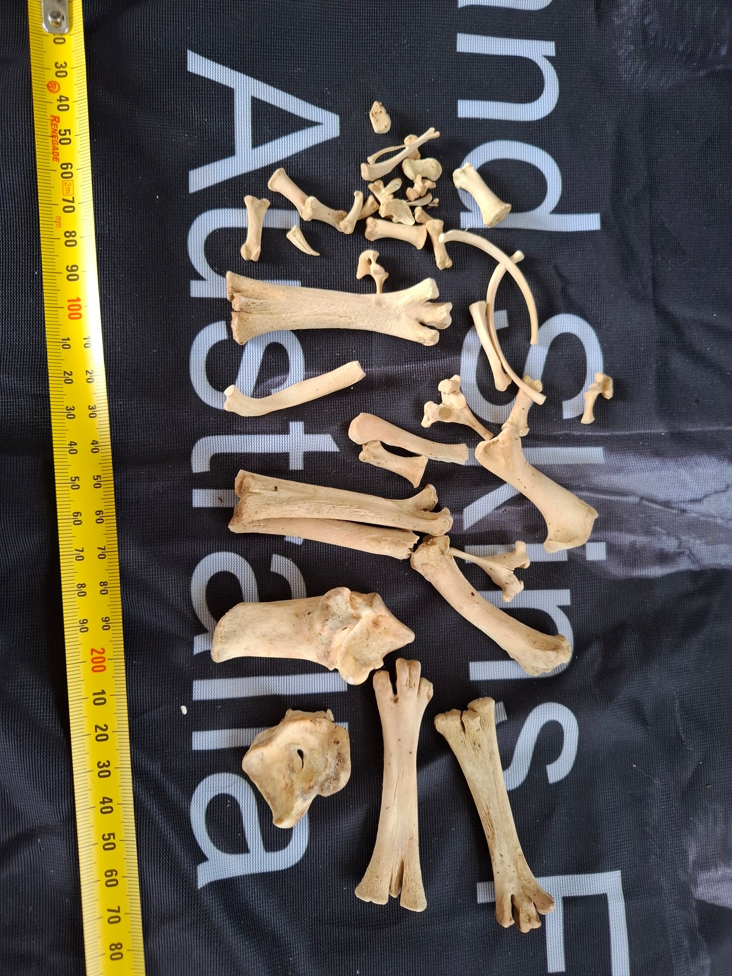 Mixed small box of bones