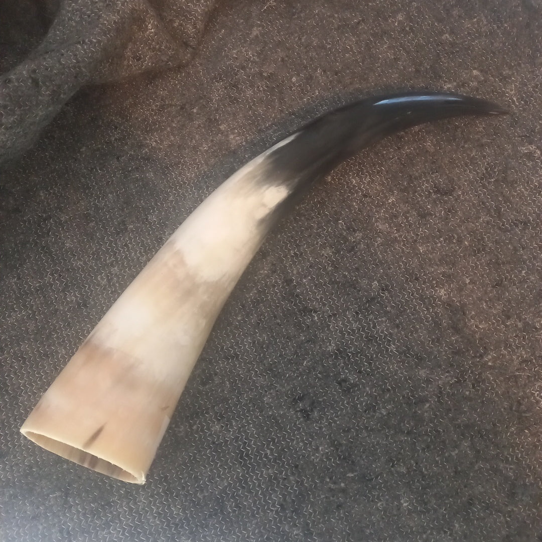 Watusi horn