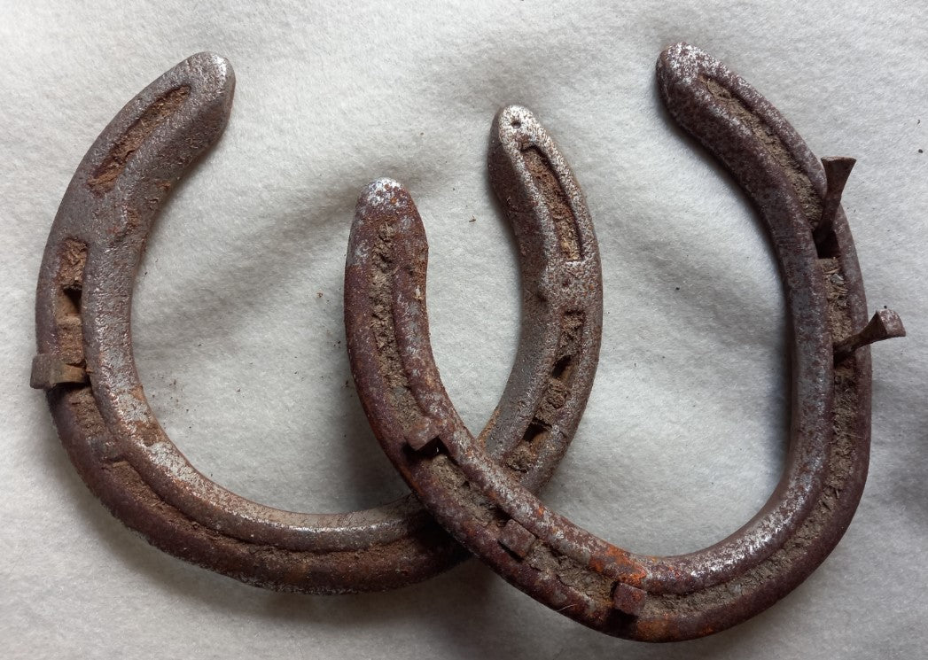 Horse Shoe (used)
