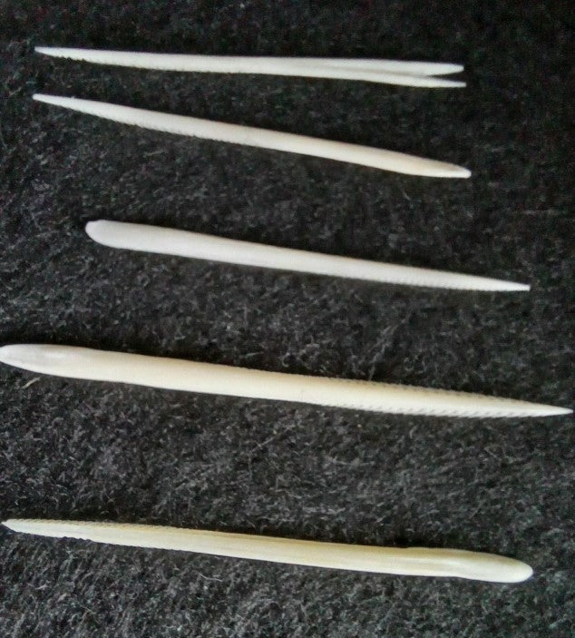 Stingray barbs