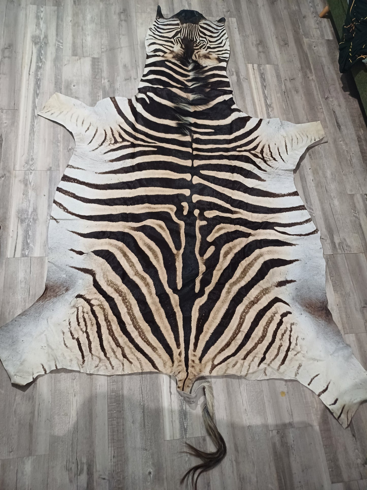 Full zebra hide