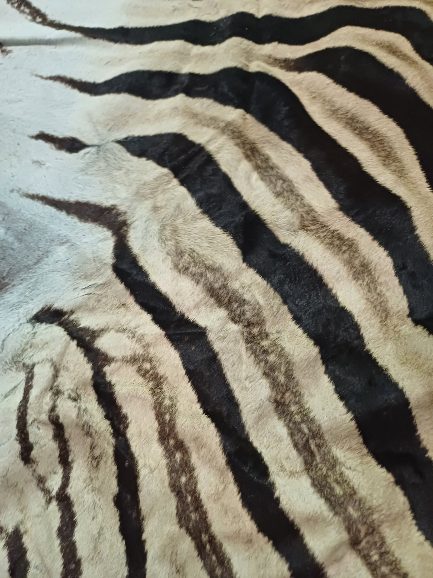 Full zebra hide