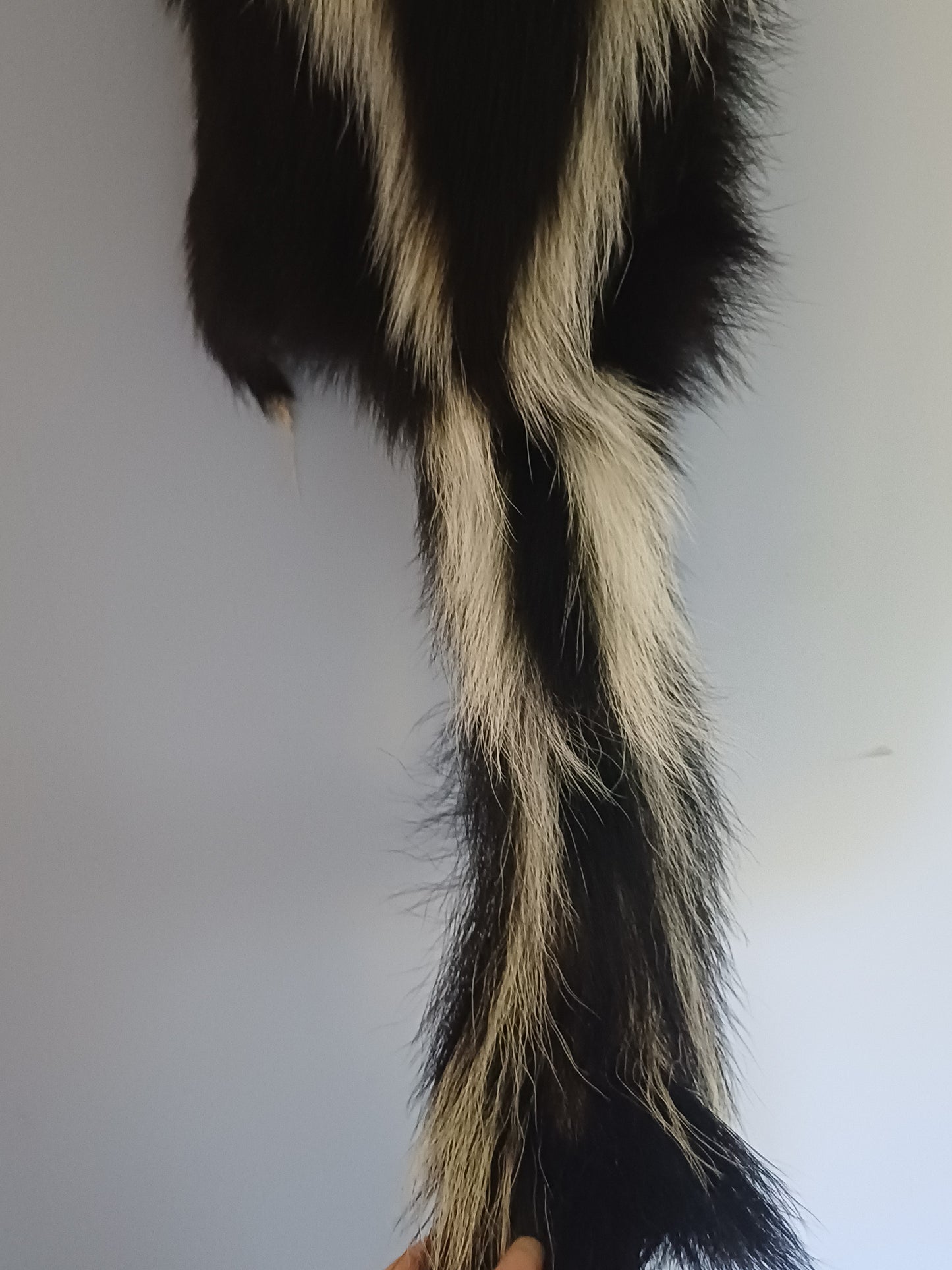 Skunk wall hanger