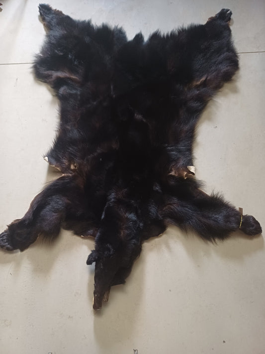 Black bear hide