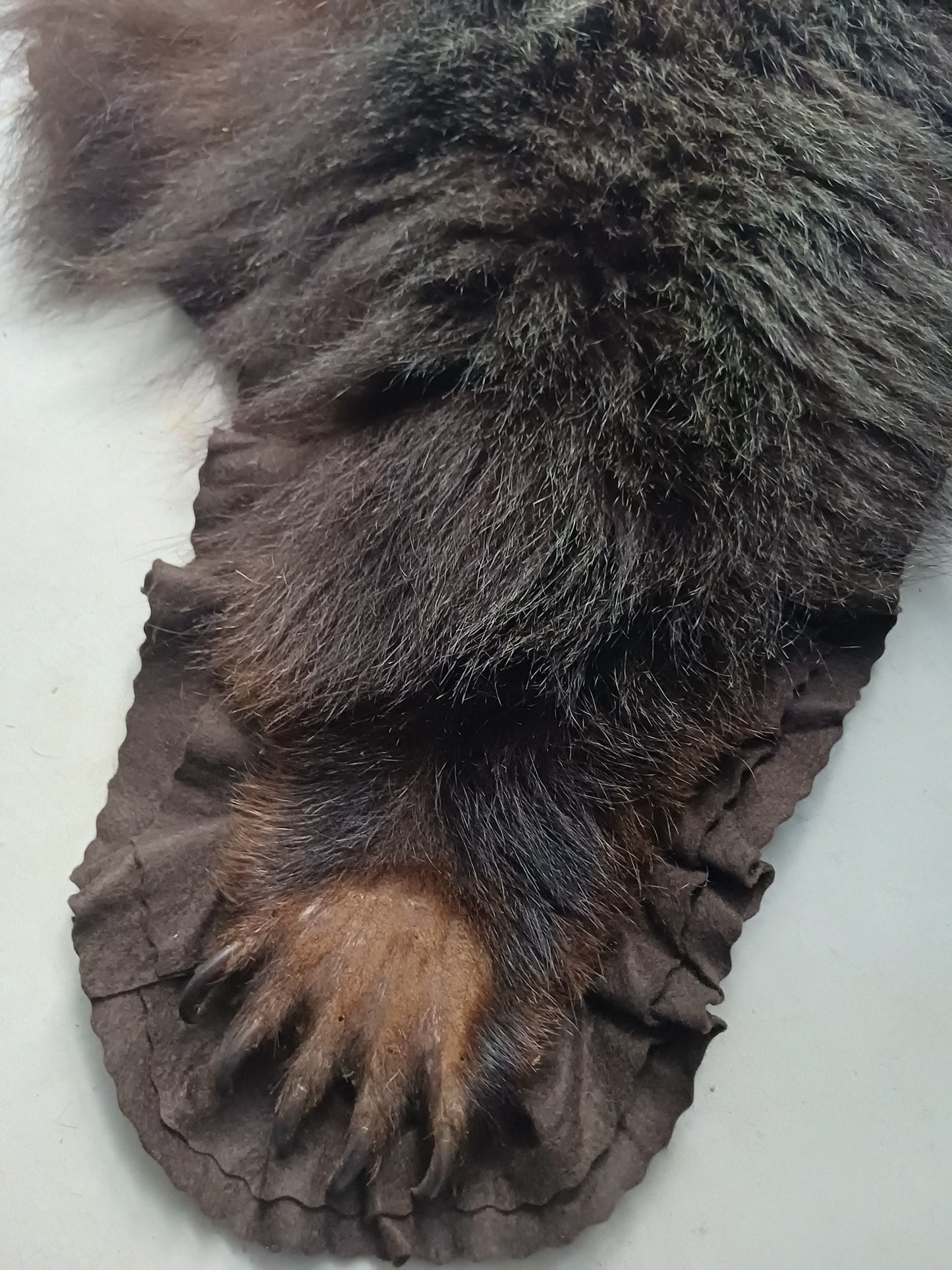 Grizzly Bear Rug