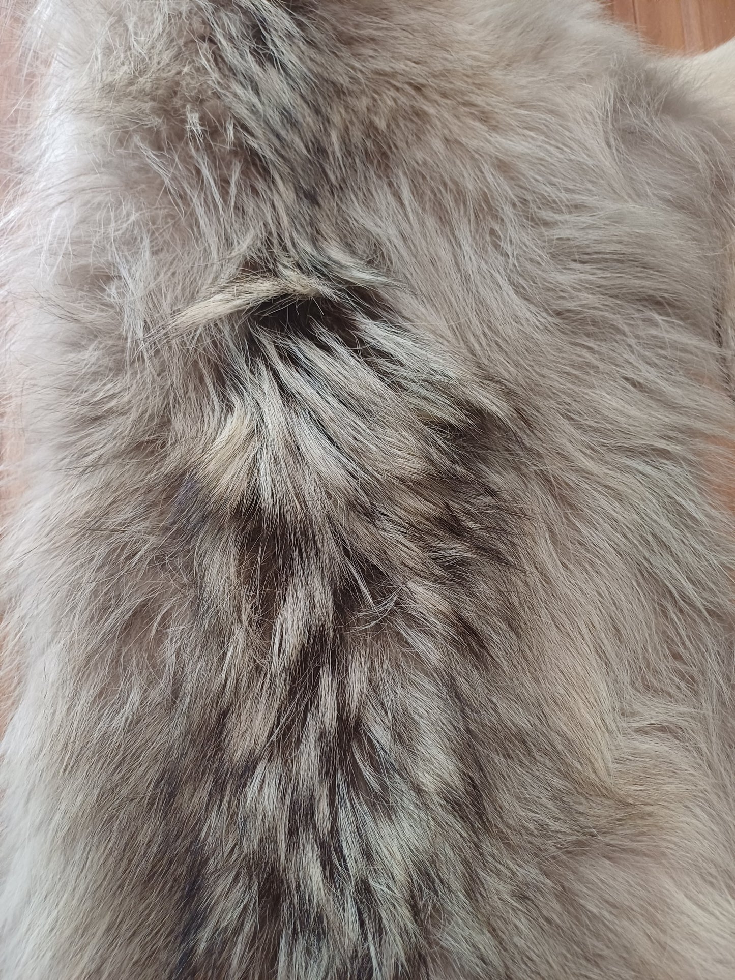 Wolf pelt (CITES)
