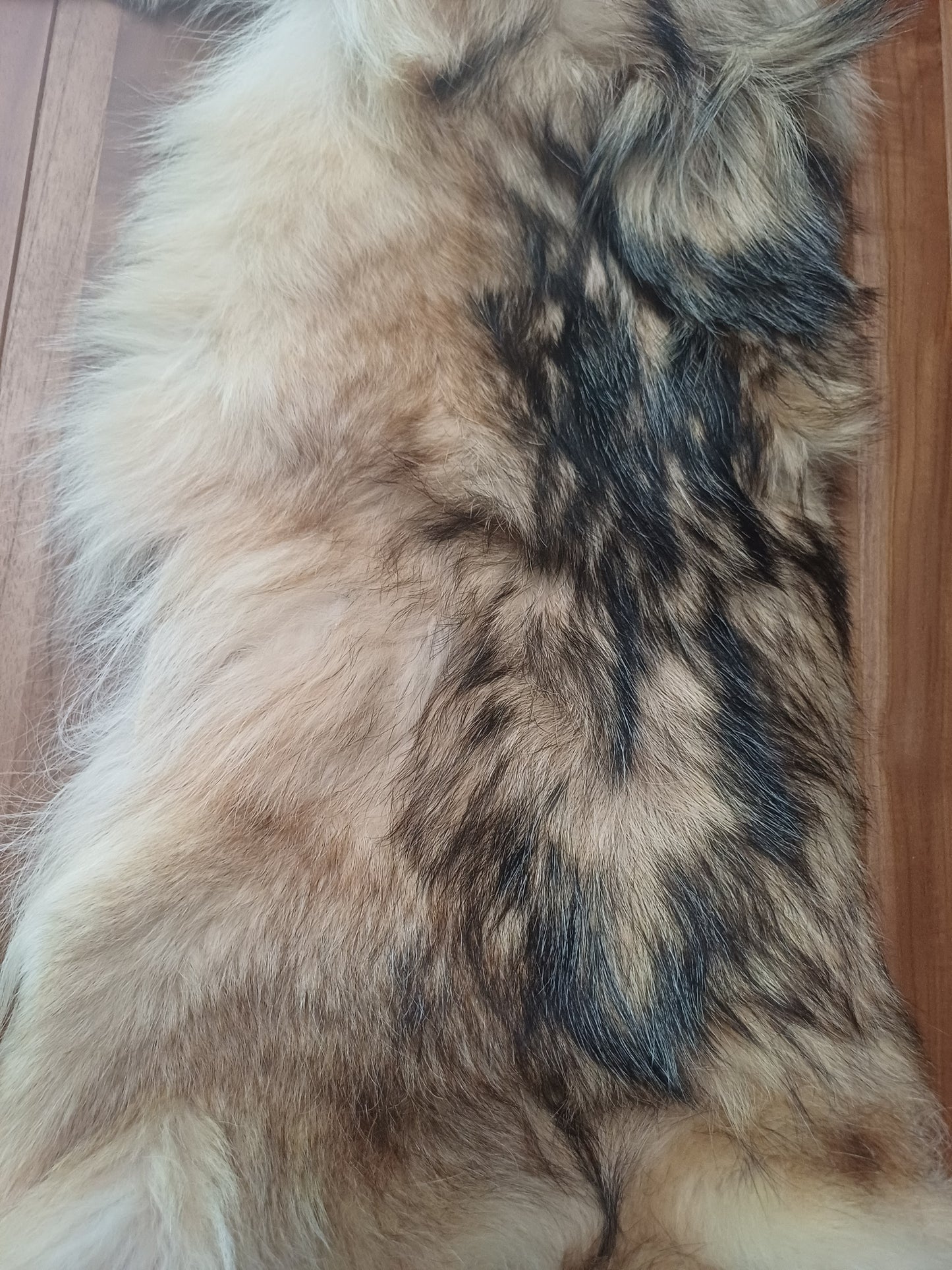 Wolf pelt (CITES)