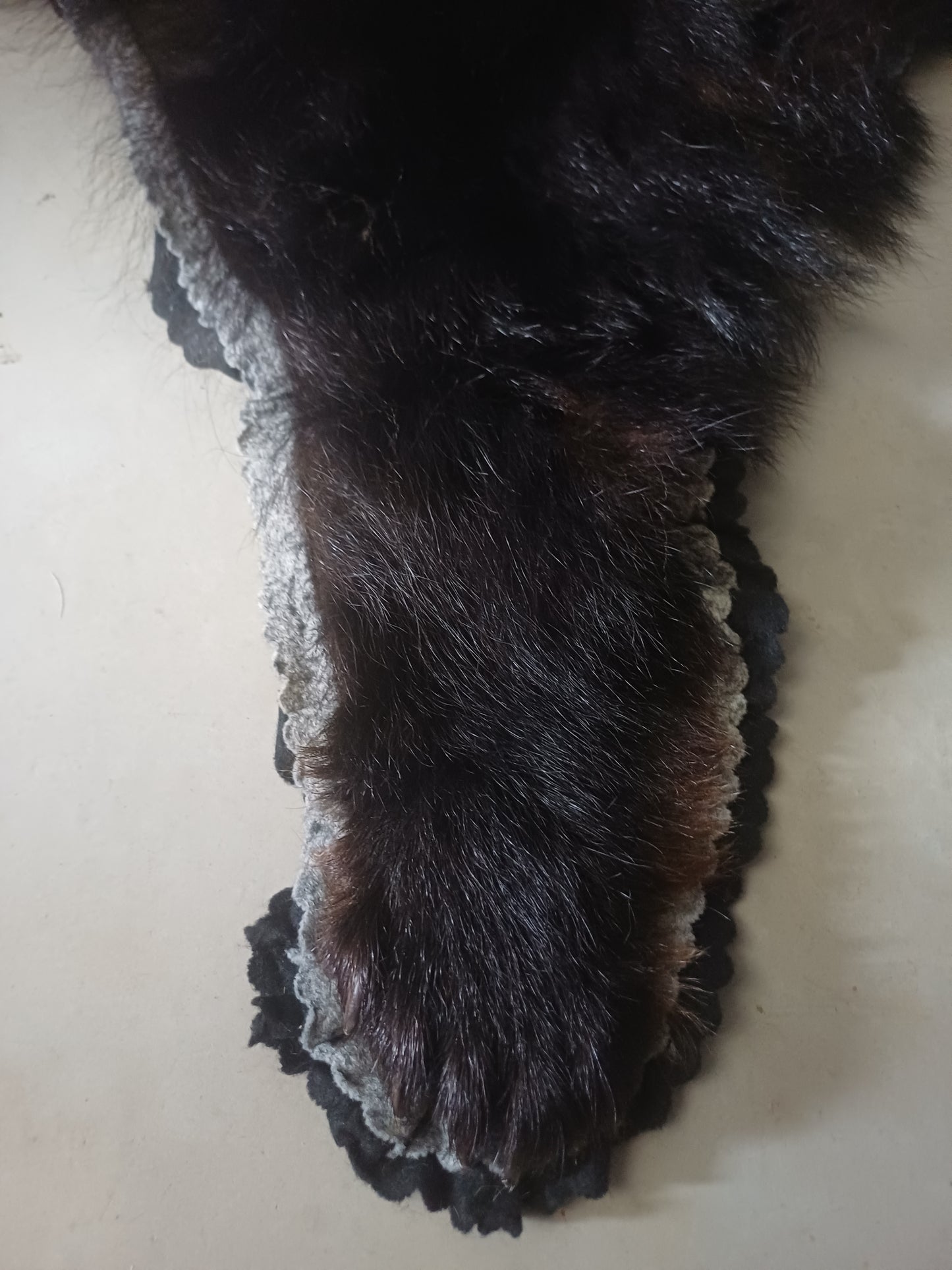 Black Bear Rug