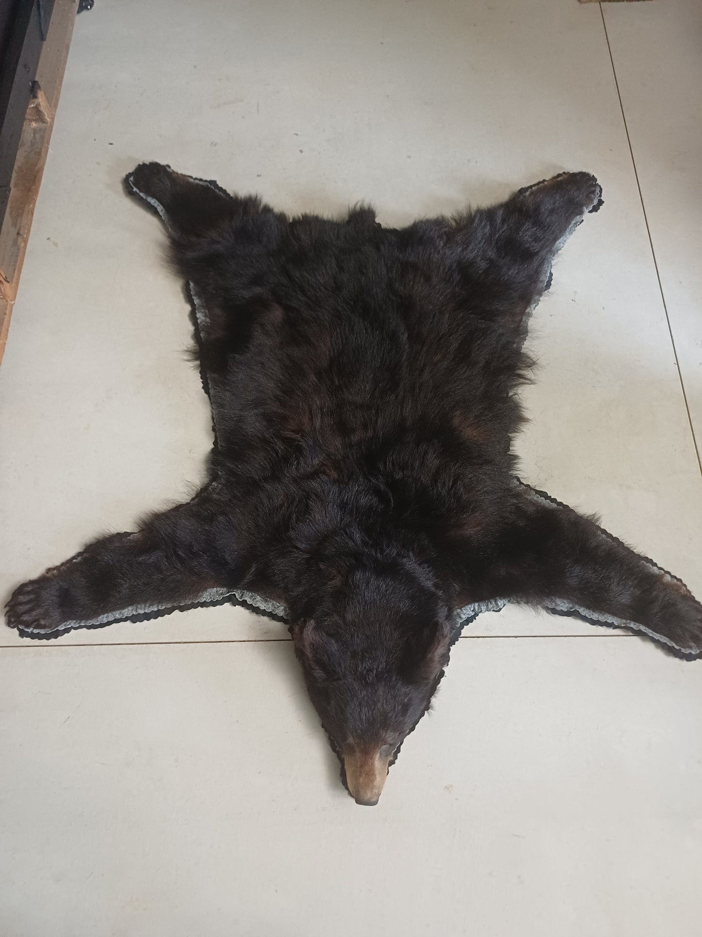 Black Bear Rug