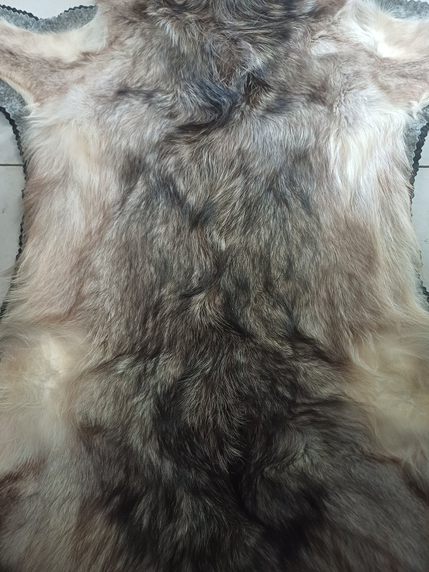 Wolf rug (CITES)