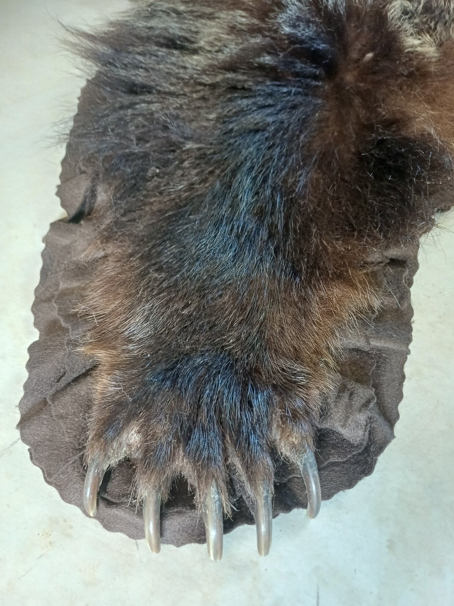 Grizzly Bear Rug