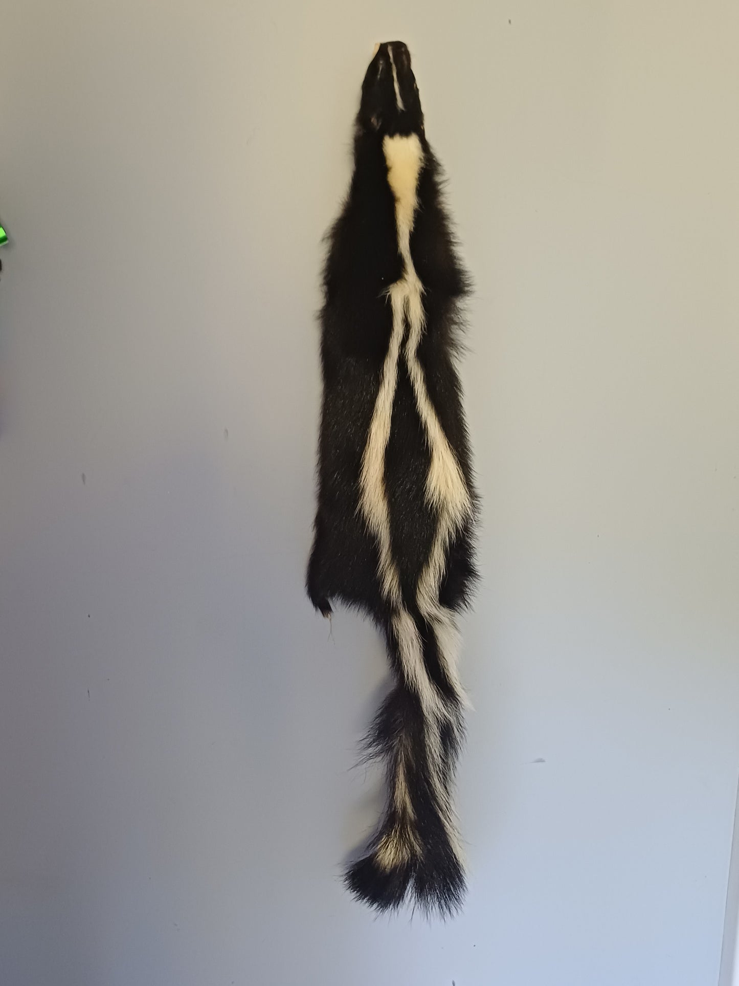 Skunk wall hanger